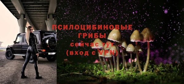 mix Алексин