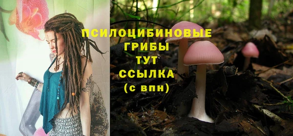 mix Алексин