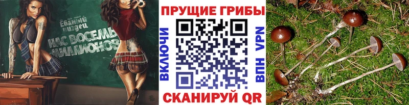 даркнет сайт  Инсар  Галлюциногенные грибы мухоморы 